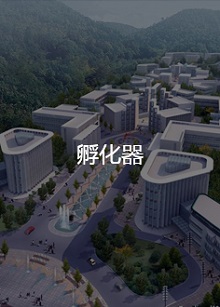 孵化器